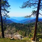 Sequoia Nationalpark