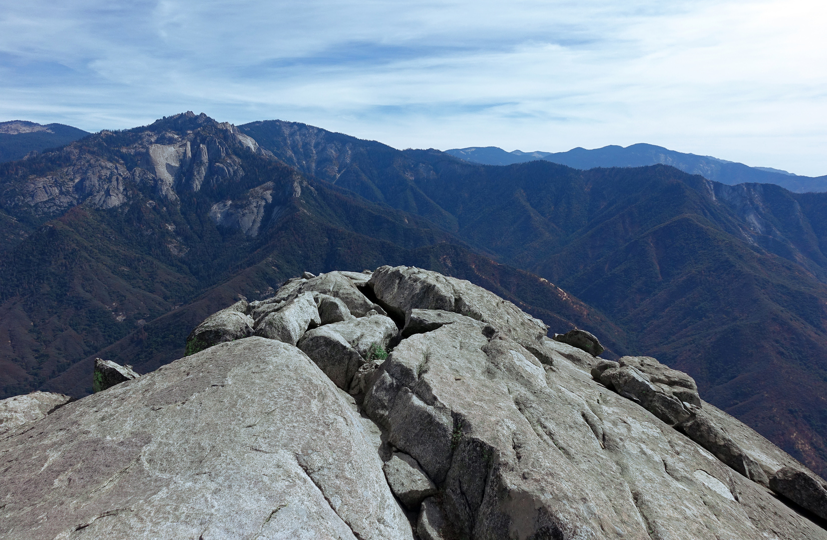 Sequoia Nationalpark'16