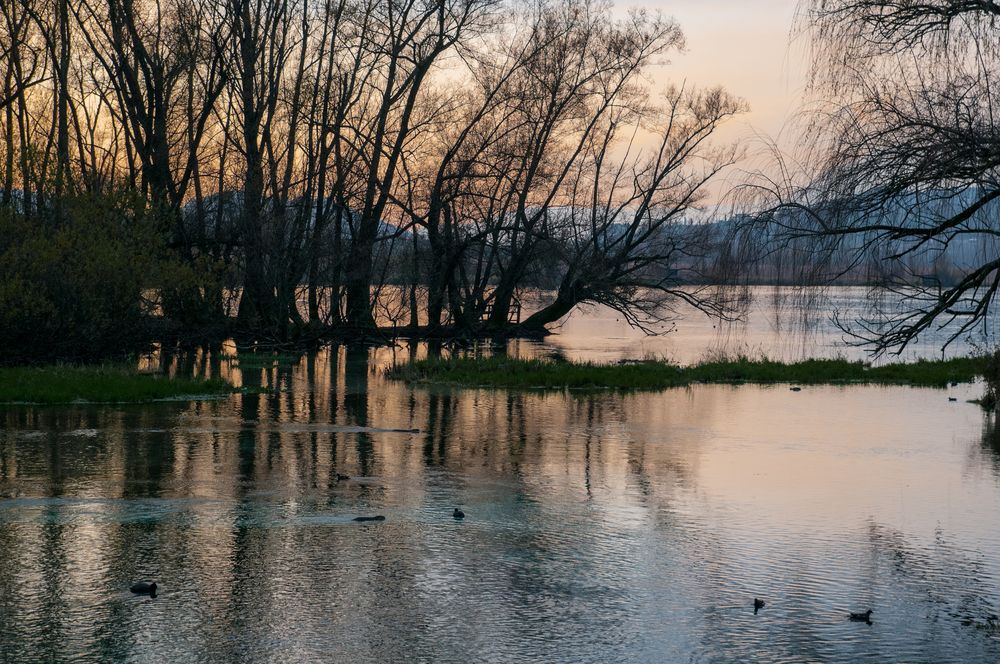 Sera d'autunno sul lago Foto Immagini paesaggi, laghi e fiumi, lazio