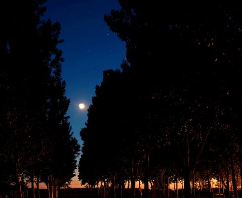 Sera di plenilunio.