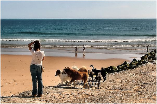 Sera....ora dei cani.