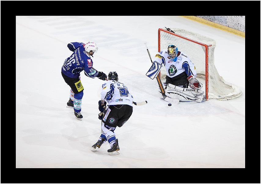 SERC Wild Wings gegen Dresdner Eislöwen