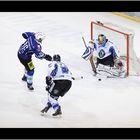 SERC Wild Wings gegen Dresdner Eislöwen