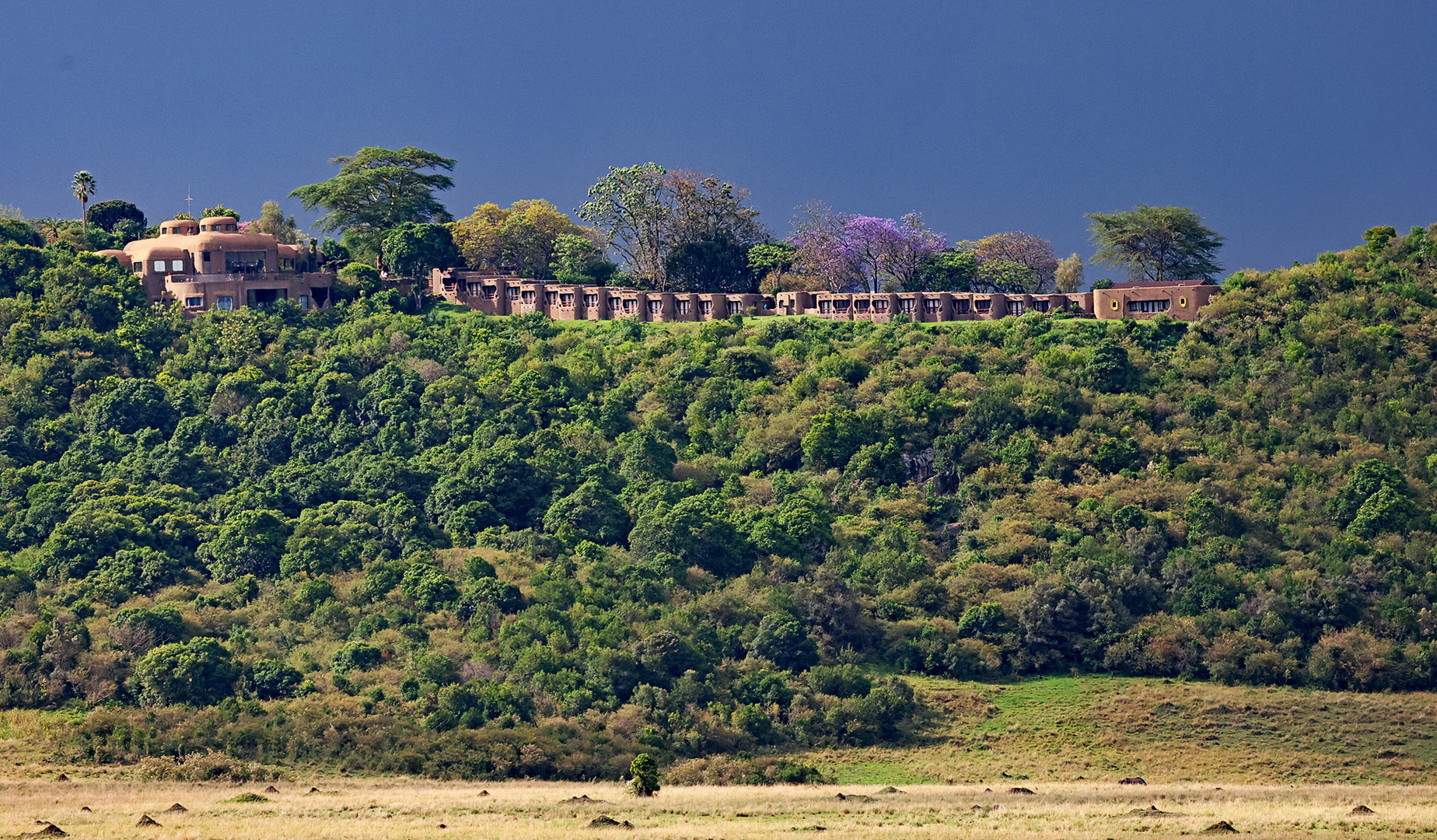 Serena Lodge