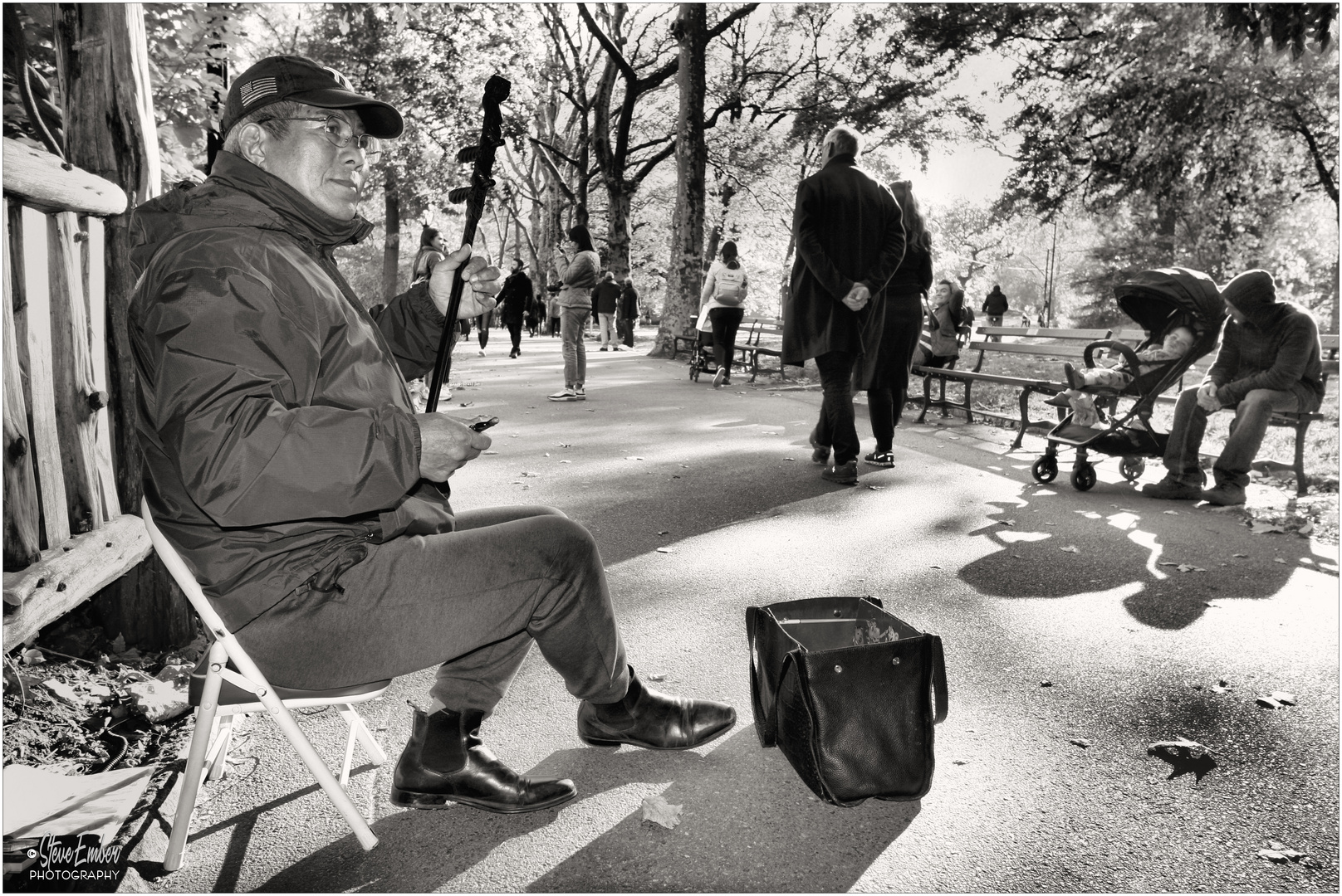 Serenade for a Sunny Afternoon - A Central Park Moment