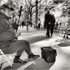 Serenade for a Sunny Afternoon - A Central Park Moment