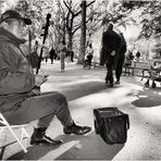 Serenade for a Sunny Afternoon - A Central Park Moment