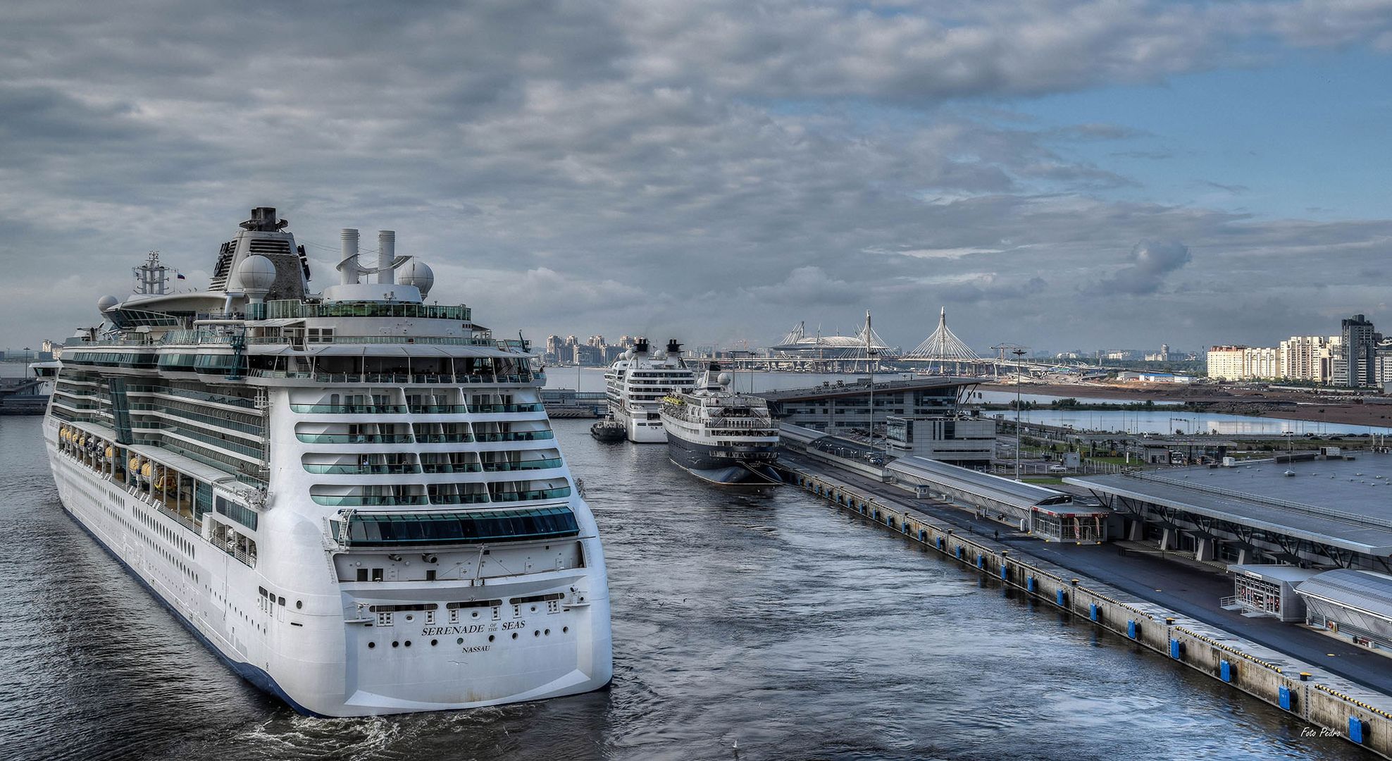 SERENADE of the SEAS