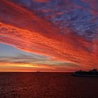 Serenade of the Seas in St. Petersburg