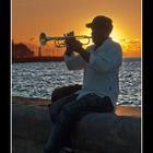 Serenata al atardecer