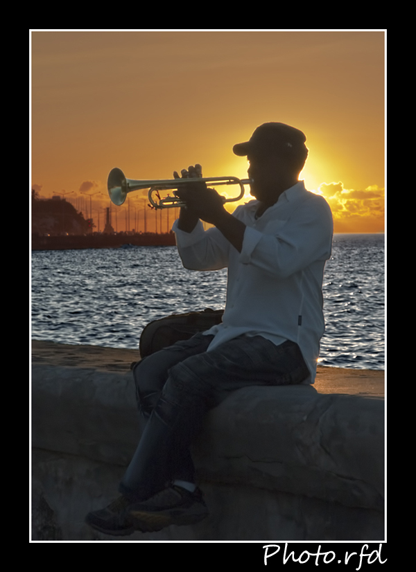 Serenata al atardecer