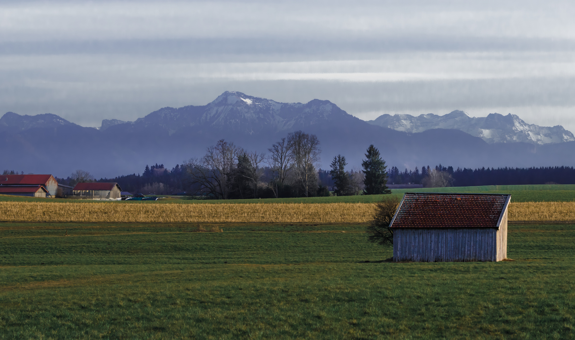 Serene Pastures The Alpine Homestead