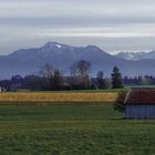 Serene Pastures The Alpine Homestead