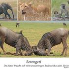 Serengeti