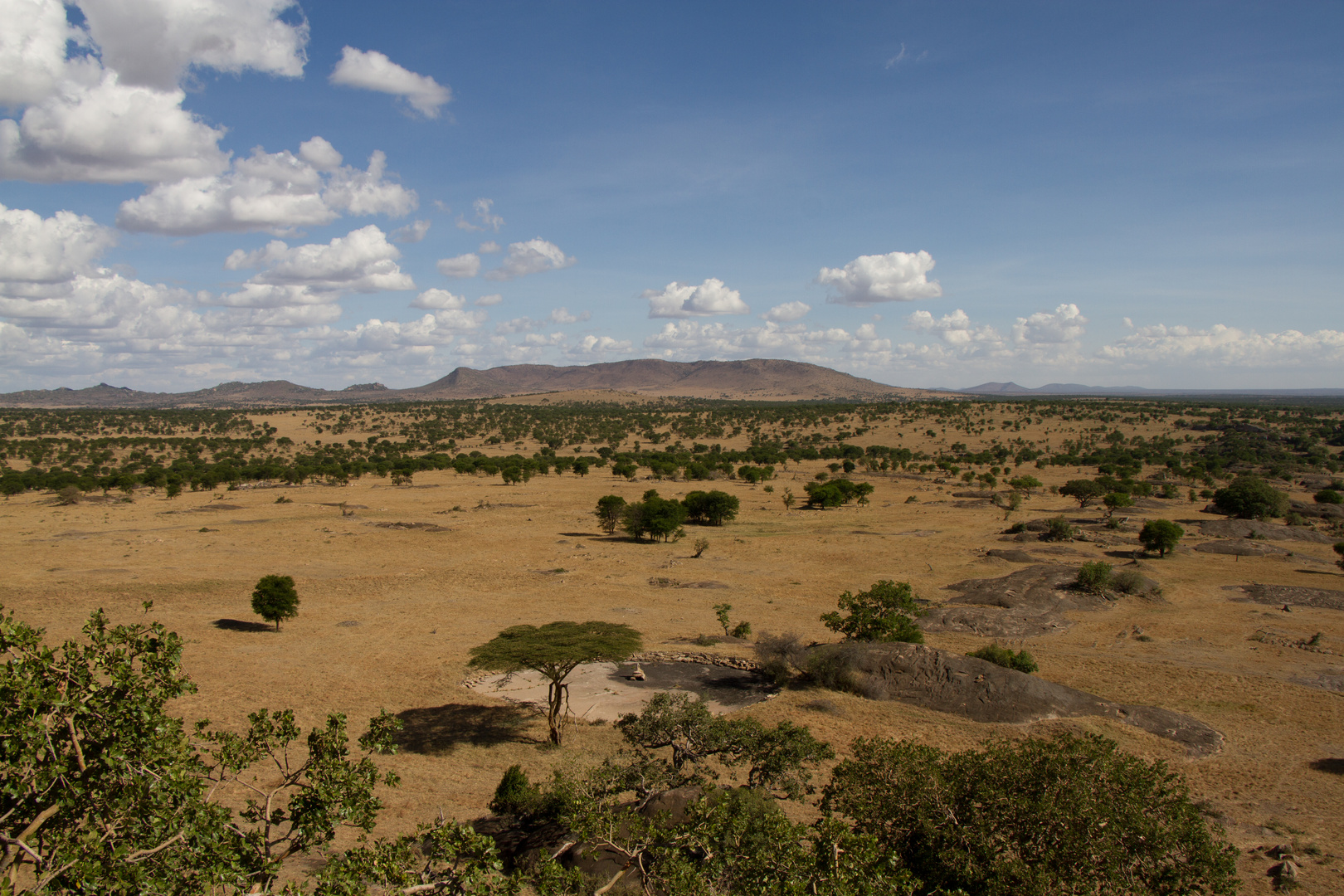 Serengeti