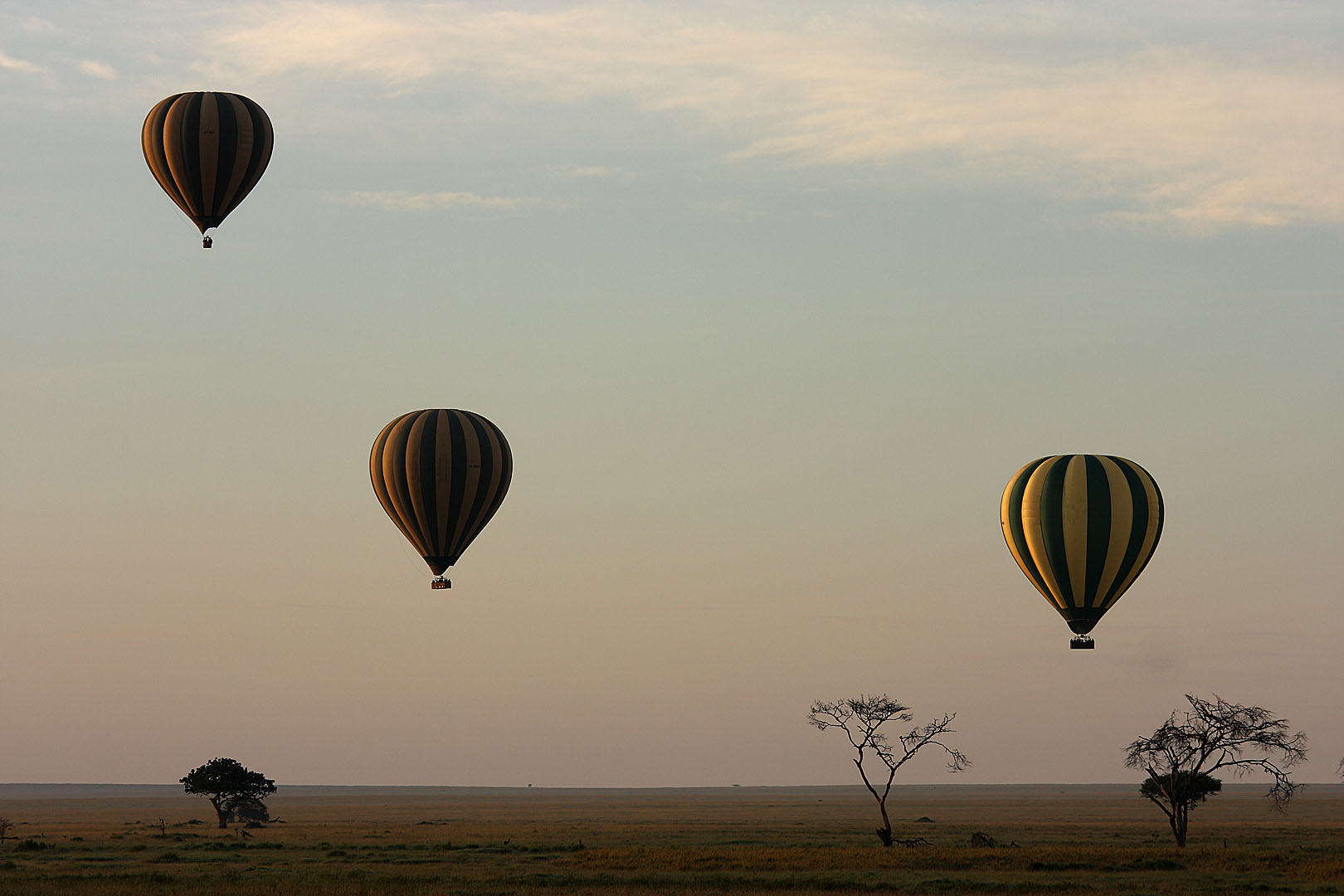 Serengeti am Morgen