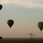 Serengeti am Morgen