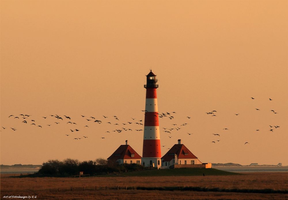 Serengeti an der Nordsee....