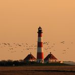 Serengeti an der Nordsee....