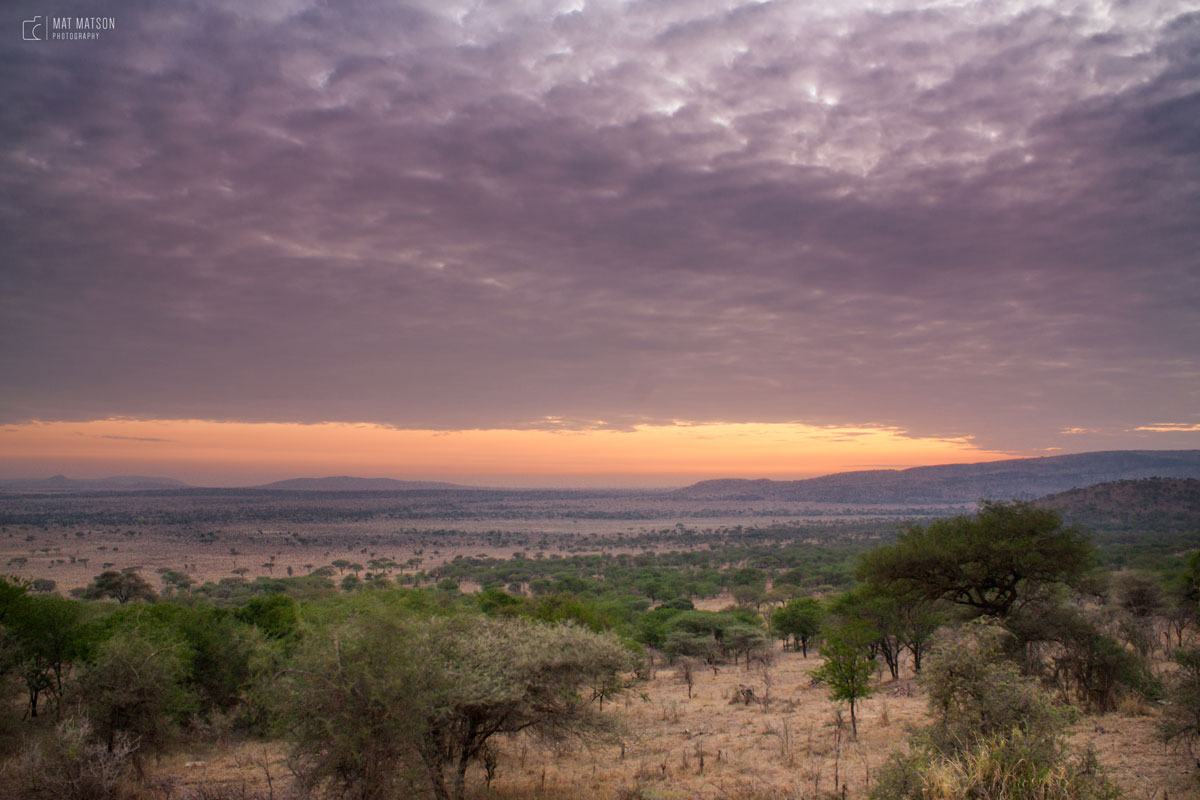 Serengeti bei Sonneaufgang