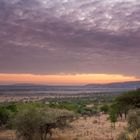 Serengeti bei Sonneaufgang