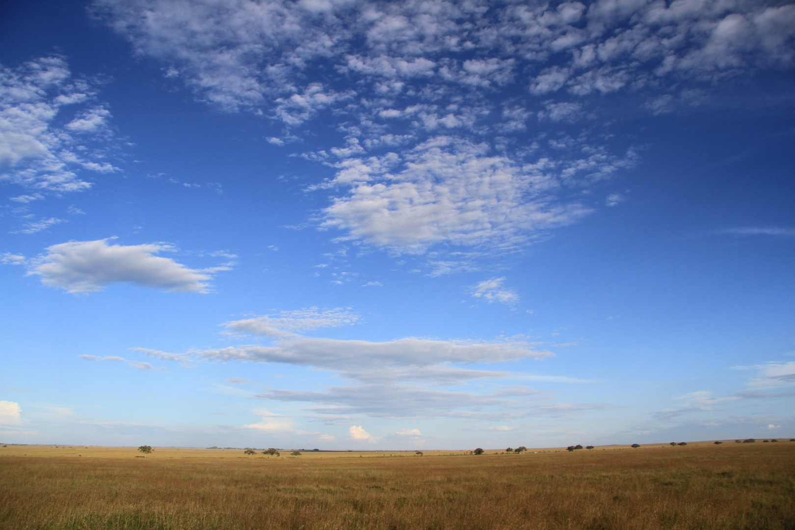 Serengeti