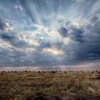 Serengeti - endless plains with amazing skies