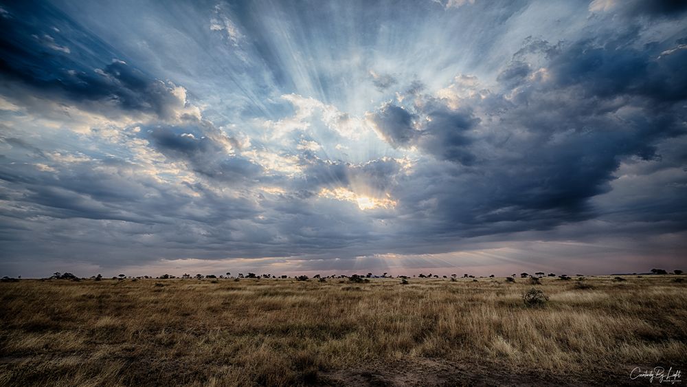 Serengeti - endless plains with amazing skies