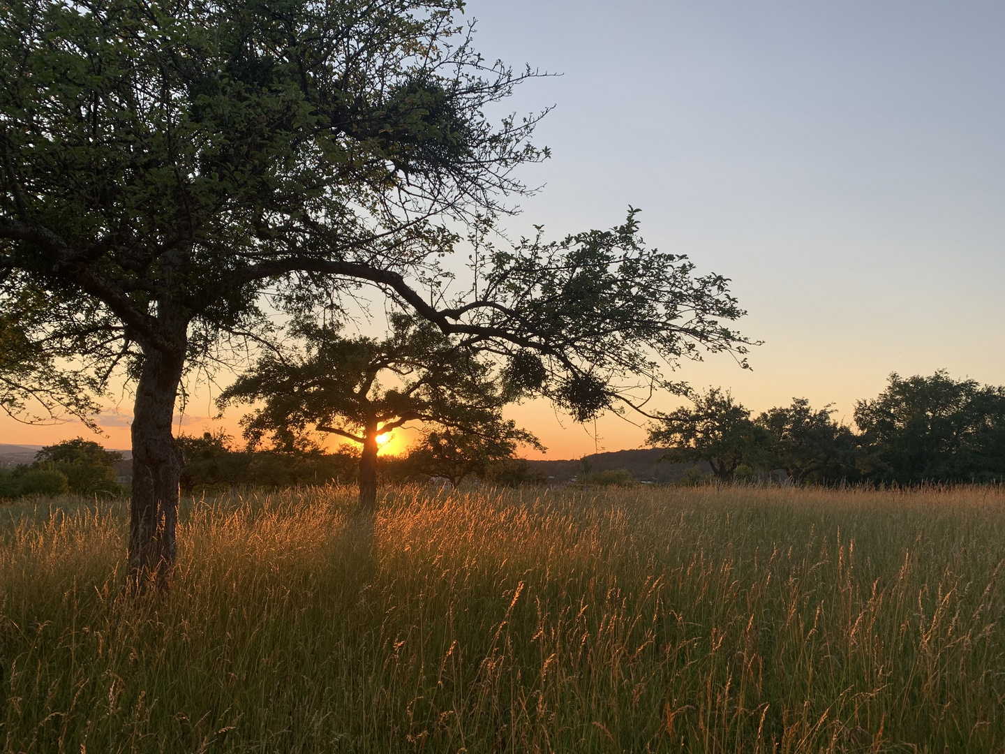 Serengeti Gefühl