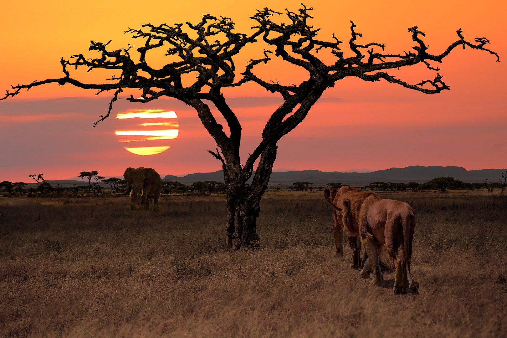 Serengeti Landschaft