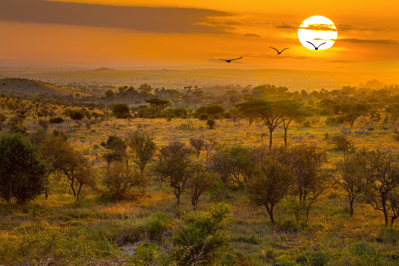 Serengeti Landschaft