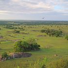 Serengeti Lobo Valley