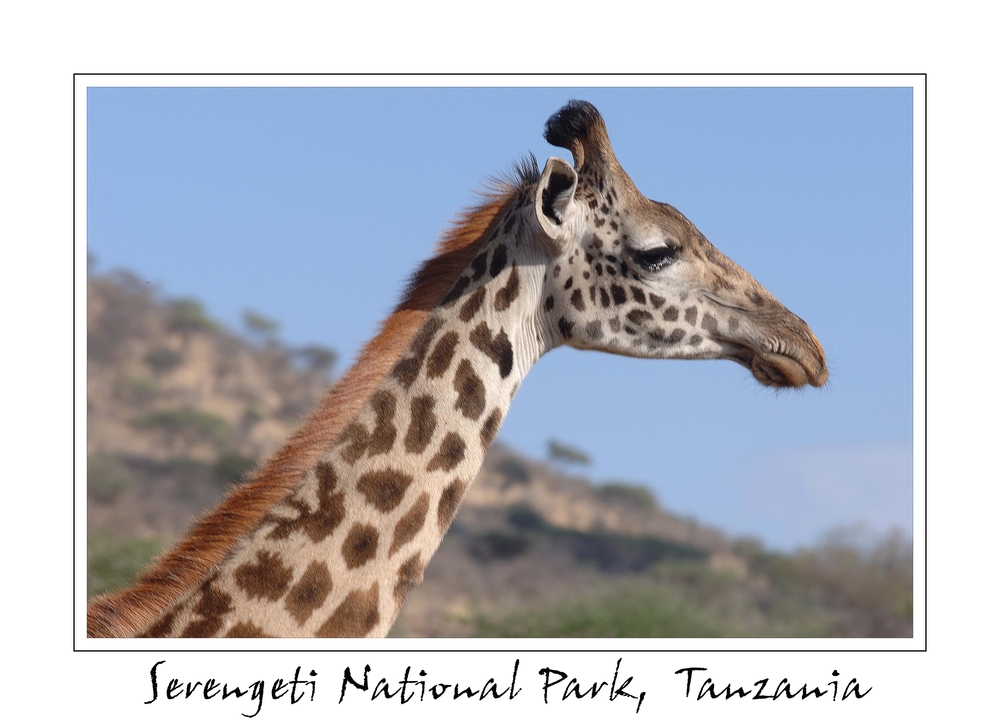 Serengeti National Park