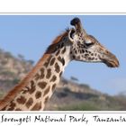 Serengeti National Park