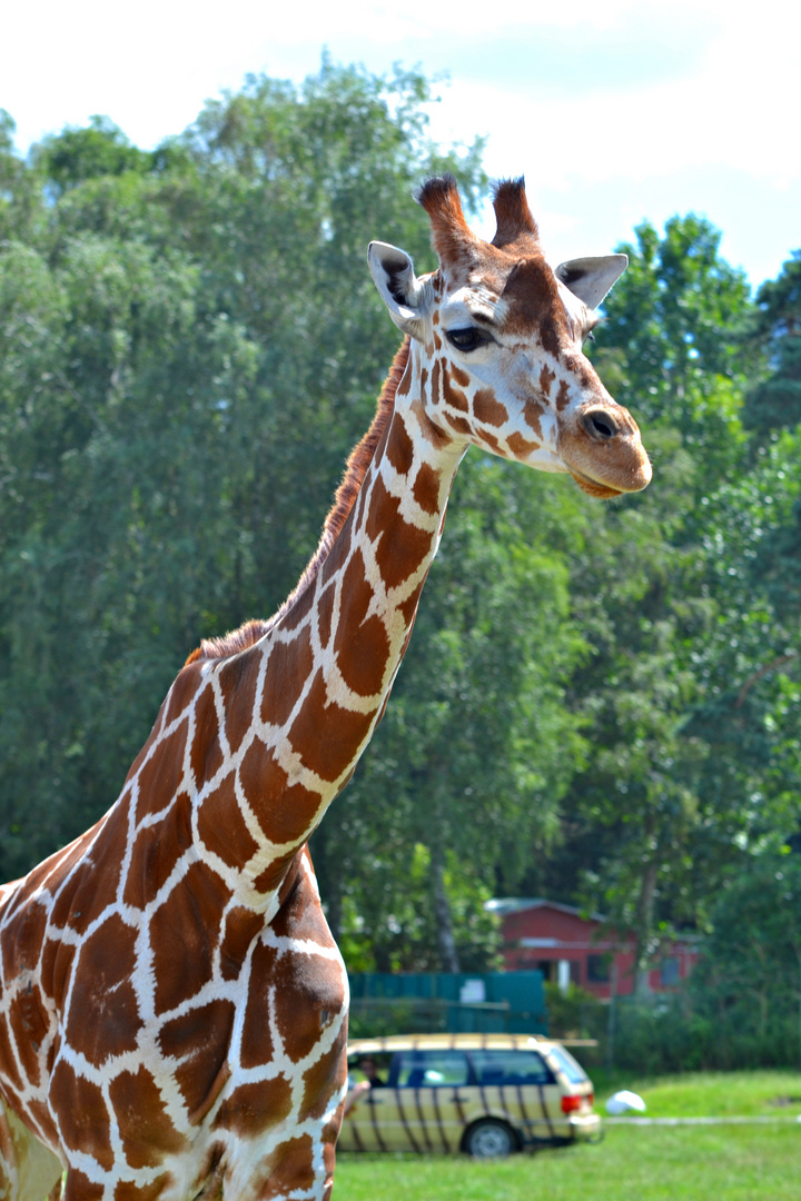 Serengeti-Park Hodenhagen (1)