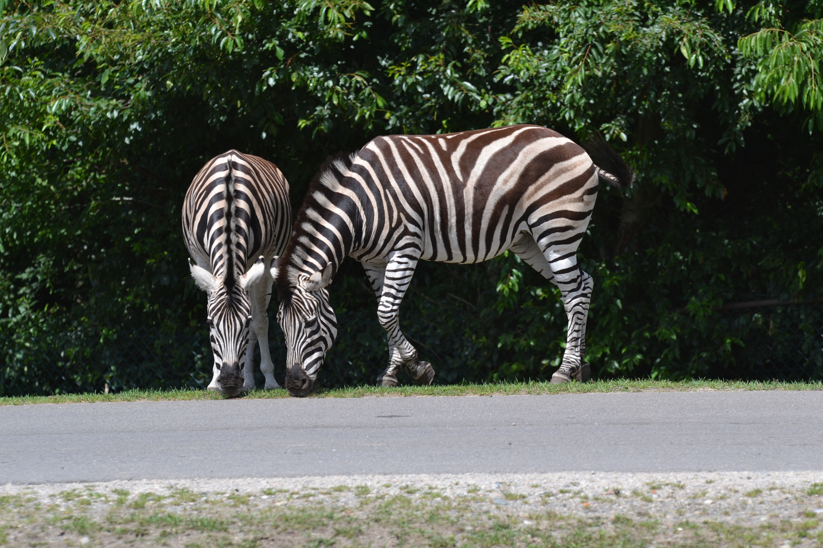 Serengeti-Park Hodenhagen (10)