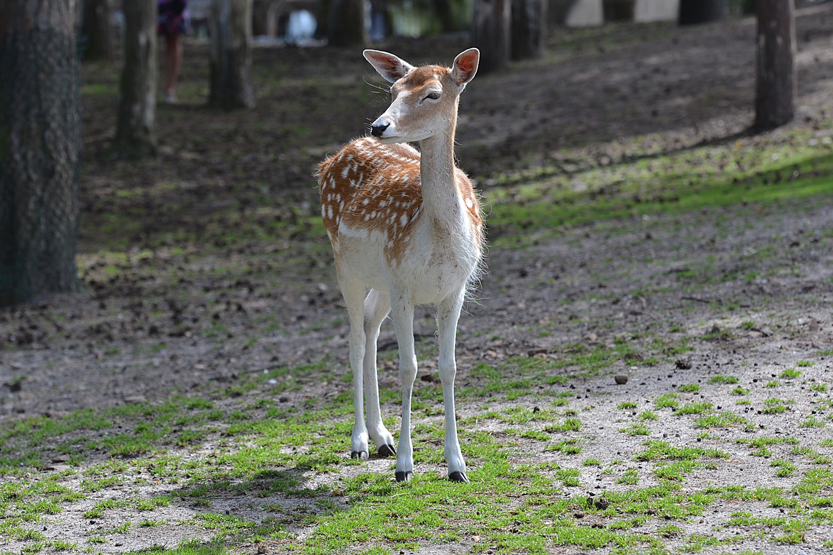 Serengeti-Park Hodenhagen (2)