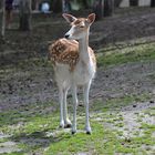 Serengeti-Park Hodenhagen (2)