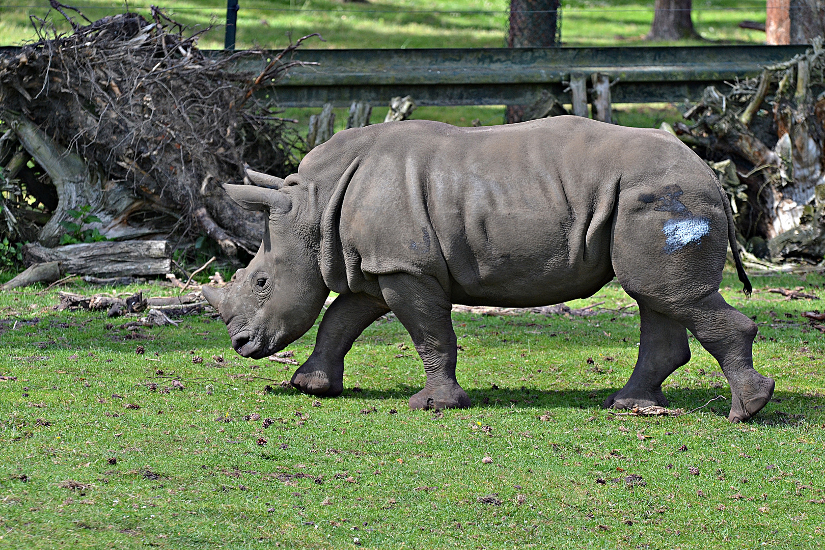 Serengeti-Park Hodenhagen (6)