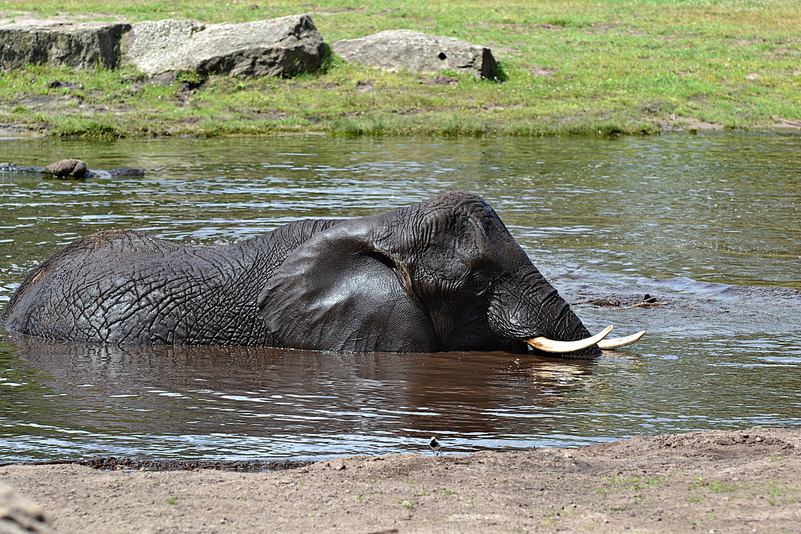 Serengeti-Park Hodenhagen (8)