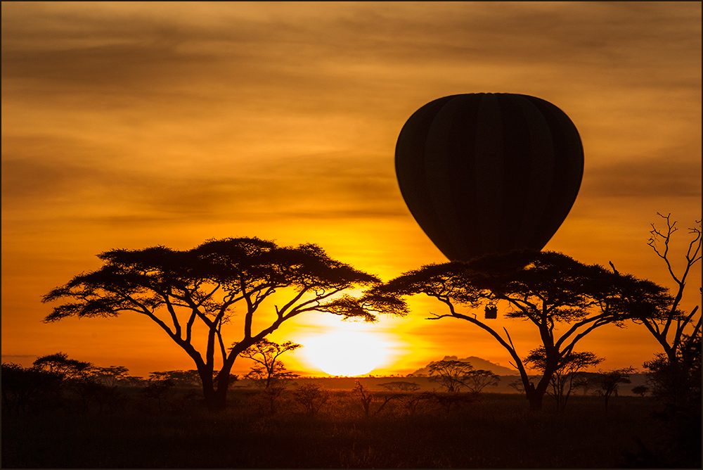 Serengeti Sunrise