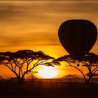 Serengeti Sunrise