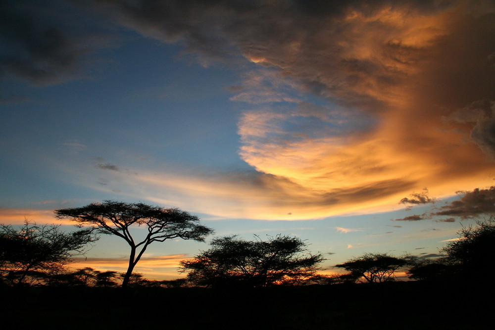 Serengeti Sunset 2