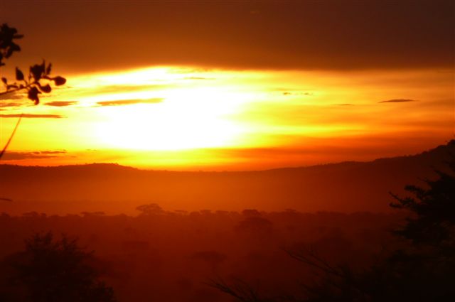 Serengeti Sunset