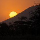 Serengeti Sunset