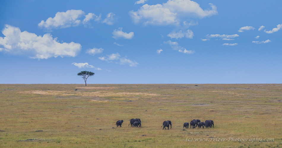 Serengeti - Weites Land