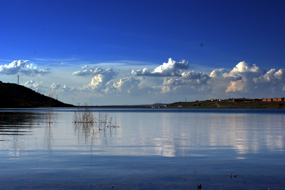 SERENIDAD EN EL PANTANO