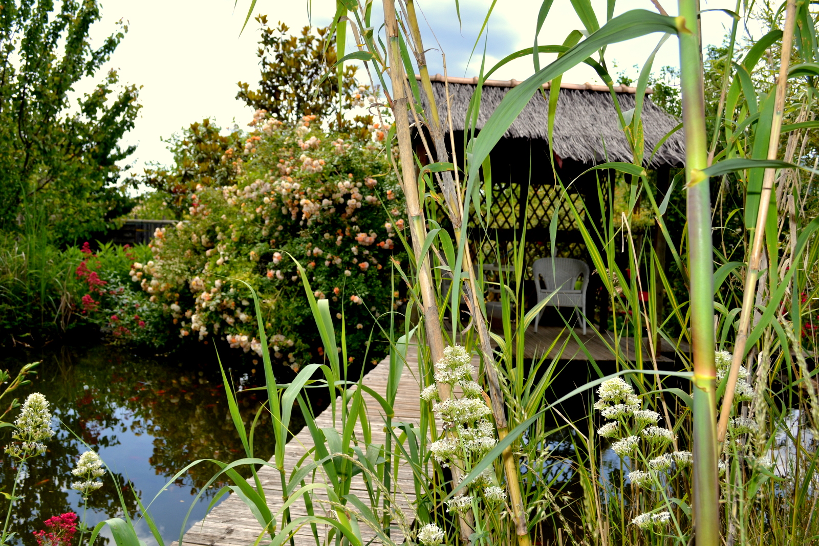 sérénité au jardin