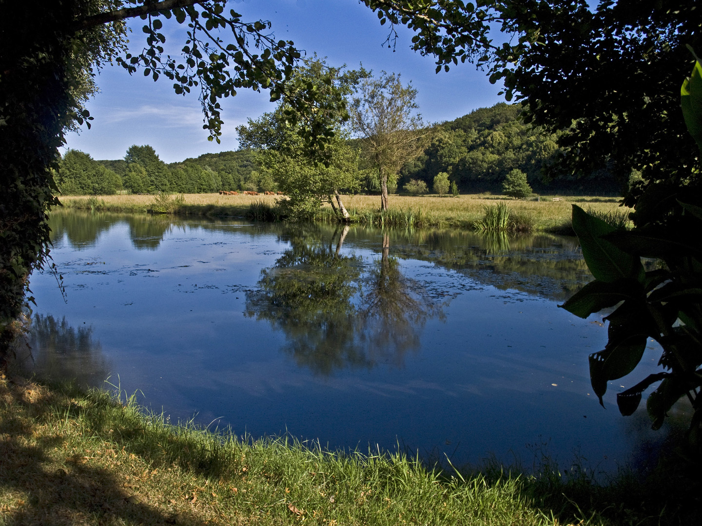 Sérénité en Poitou-Charentes  --  Ruhe und Stille in Poitou-Charentes