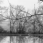 Sérénité hivernale en noir et blanc